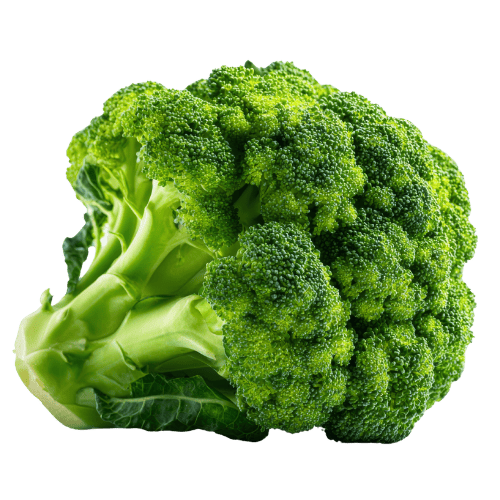 Brócoli
