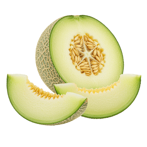 Melón Galia